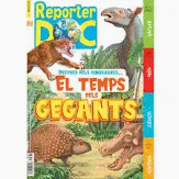 REVISTA REPORTER DOC