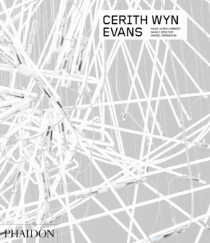 CERITH WYN EVANS