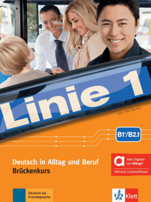 LINIE 1 B1+/B2.1 ALU+EJE HIBRIDO+ALLANGO