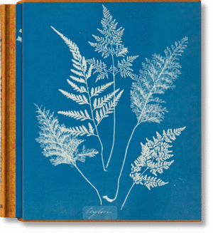 CYANOTYPES, ATKINS XL INT