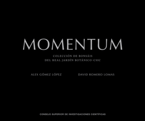 MOMENTUM. COLECCIÓN DE BONSAIS DEL RIJB--CSIC