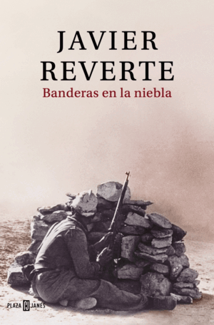 BANDERAS EN LA NIEBLA
