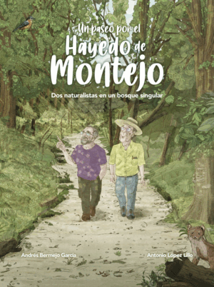 UN PASEO POR EL HAYEDO DE MONTEJO