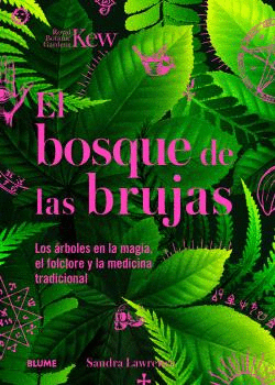 EL BOSQUE DE LAS BRUJAS