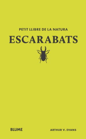 ESCARABATS