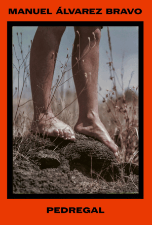 MANUEL ÁLVAREZ BRAVO. PEDREGAL