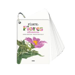 FÍJATE: FLORES SILVESTRES