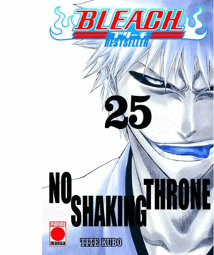 BLEACH BESTSELLER 25