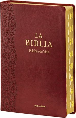 LA BIBLIA (PALABRA DE VIDA) LETRA EXTRAGRANDE