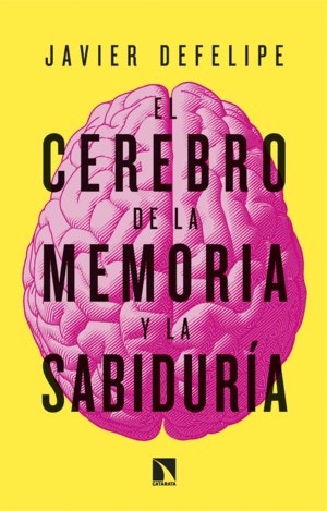 EL CEREBRO DE LA MEMORIA Y LA SABIDURIA