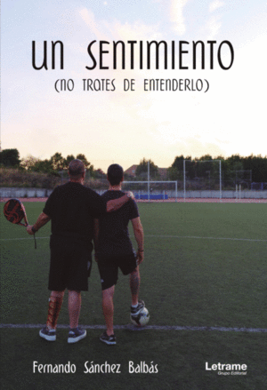UN SENTIMIENTO (NO TRATES DE ENTENDERLO)
