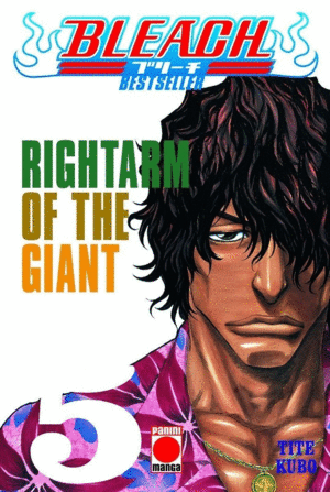 BLEACH 05 BESTSELLER RIGHTARM OF GIANT