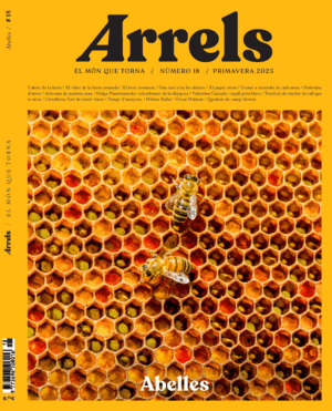 ALPES, MÁS ALLÁ DE LOS LÍMITES