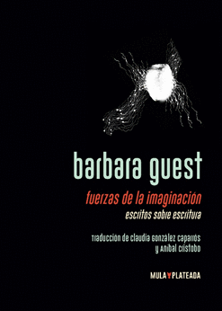 FUERZAS DE LA IMAGINACIÓN