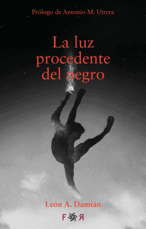 LA LUZ PROCEDENTE DEL NEGRO