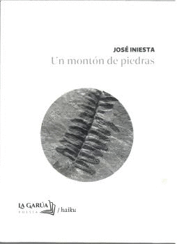 UN MONTON DE PIEDRAS