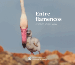 ENTRE FLAMENCOS