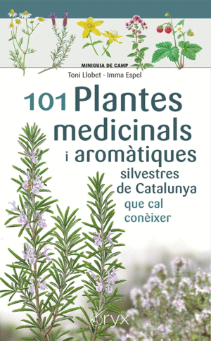 101 PLANTES MEDICINALS I AROMÀTIQUES SILVESTRES DE CATALUNYA QUE CAL CONÈIXER