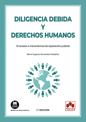 DILIGENCIA DEBIDA Y DERECHOS HUMANOS.