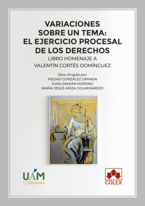 VARIACIONES SOBRE UN TEMA: EL EJERCICIO PROCESAL DE LOS DERECHOS