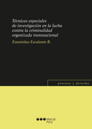 TECNICAS ESPECIALES DE INVESTIGACIN EN LA LUCHA CONTRA LA CRIMINALIDAD ORGANIZA