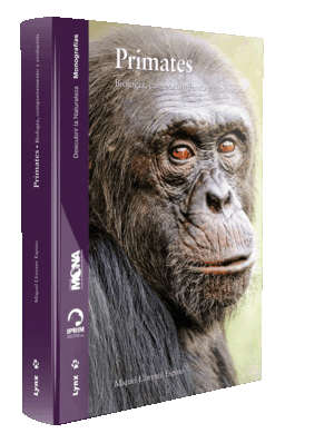 PRIMATES