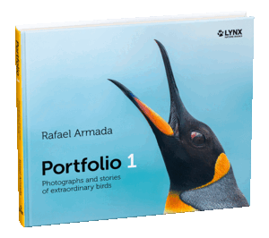 PORTFOLIO 1 (INGLES)