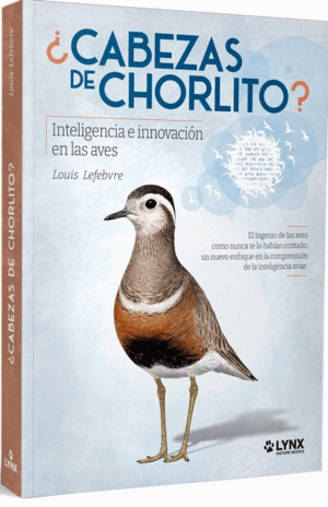 CABEZAS DE CHORLITO INTELIGENCIA E INNOVACION EN LAS AVES
