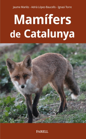 MAMIFERS DE CATALUNYA
