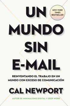 UN MUNDO SIN E-MAIL (A WORLD WITHOUT E-MAIL, SPANISH EDITION)