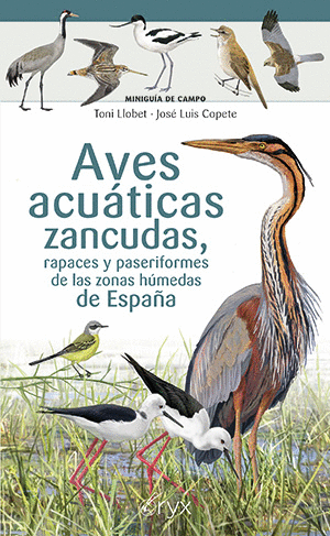 AVES ACUÁTICAS ZANCUDAS, RAPACES Y PASERIFORMES DE LAS ZONAS HÚMEDAS DE ESPAÑA