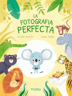 LA FOTOGRAFIA PERFECTA (CAT)