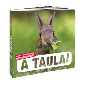 A TAULA! (CATALAN)