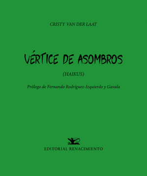 VÉRTICE DE ASOMBROS