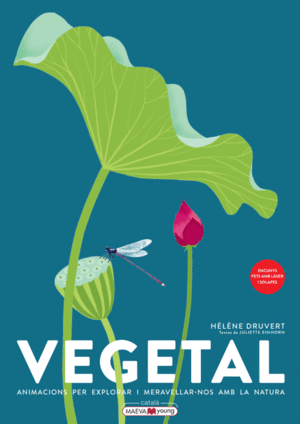 VEGETAL (CAT)