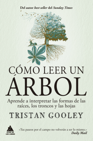 CÓMO LEER UN ÁRBOL