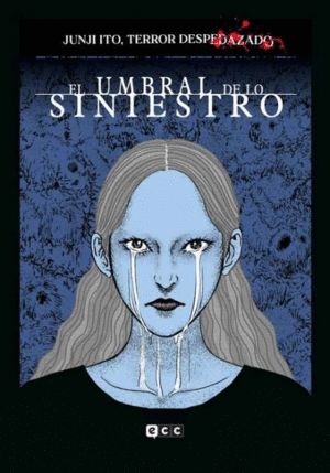 JUNJI ITO, TERROR DESPEDAZADO VOL. 22 DE 28 - EL UMBRAL DE LO SINIESTRO