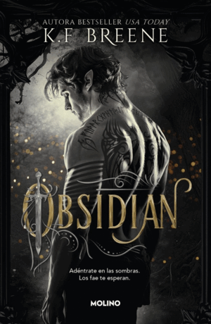 LOS FAE DE LAS SOMBRAS 1 - OBSIDIAN