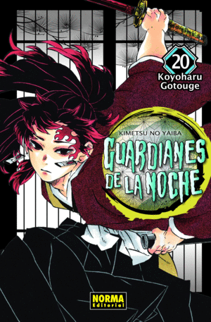 GUARDIANES DE LA NOCHE 20