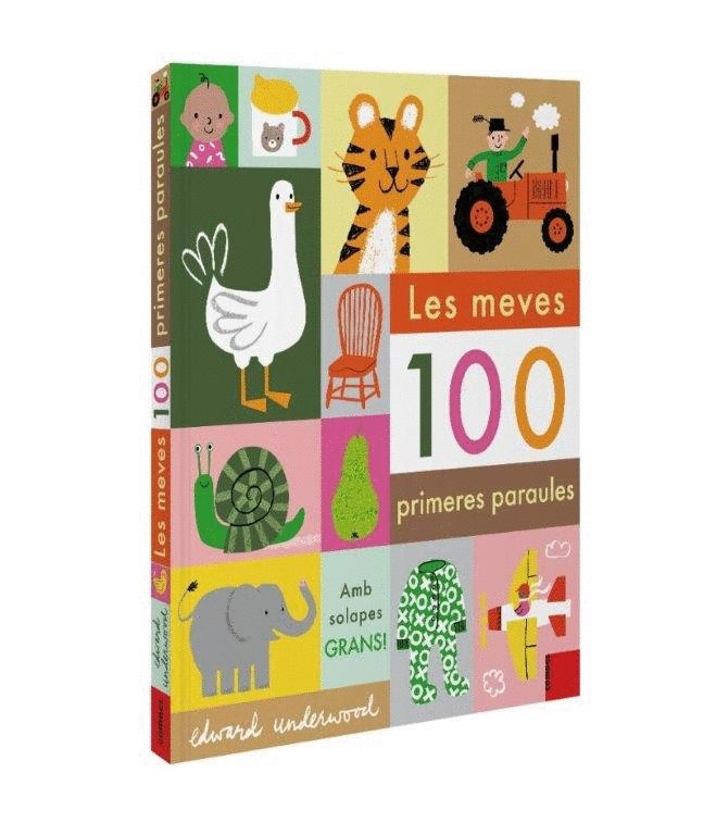 MEVES 100 PRIMERES PARAULES,LES