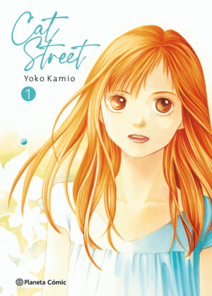 CAT STREET Nº 01 (NE)