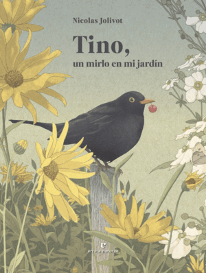TINO, UN MIRLO EN MI JARDIN