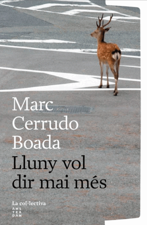 LLUNY VOL DIR MAI MÉS